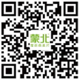 掃描關注網站建設微信公眾賬號