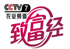 蒙北燕麥登錄CCTV7央視[致富經]李剛嶺賠光6000萬之后如何成為中國天然燕麥第一人